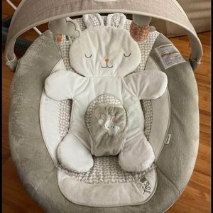 Ingenuity baby bouncer